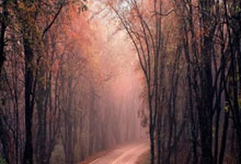 竞技宝官网：体坛名场面丨计划外的大满贯，造就王皓“三连亚”宿命.