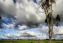 北青体育：5名申花球员赴驻地报到，国足14日训练将集齐全部国脚.